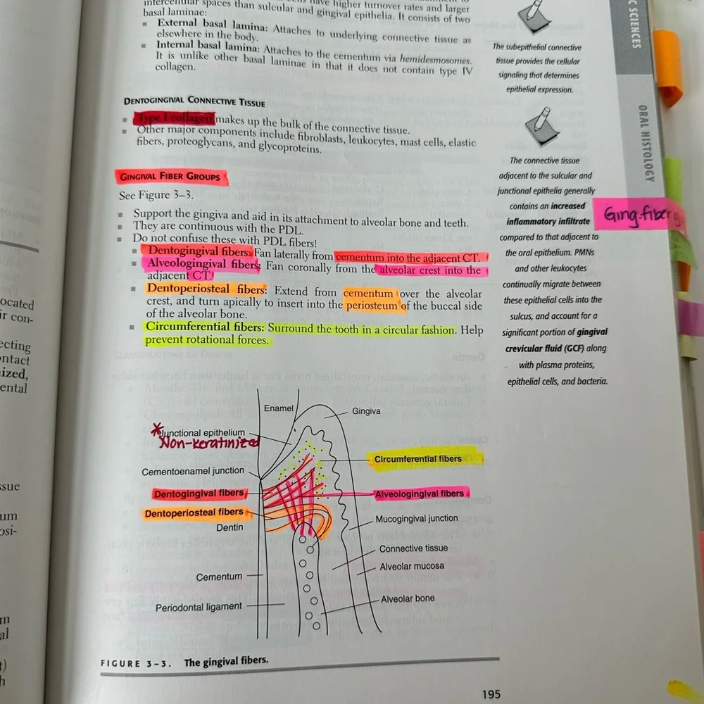 INBDE STUDY MATERIALS -Everything needed to pass: Dental Decks, Mosby ll, Dentin
